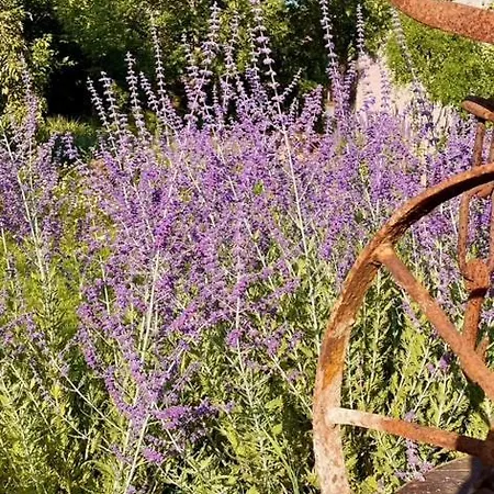 Honey Gardens Venkovský V Přírodní Zahradě Oleska