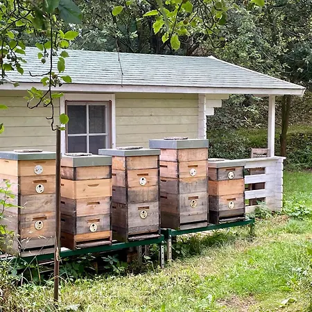Honey Gardens Venkovský V Přírodní Zahradě * Oleska
